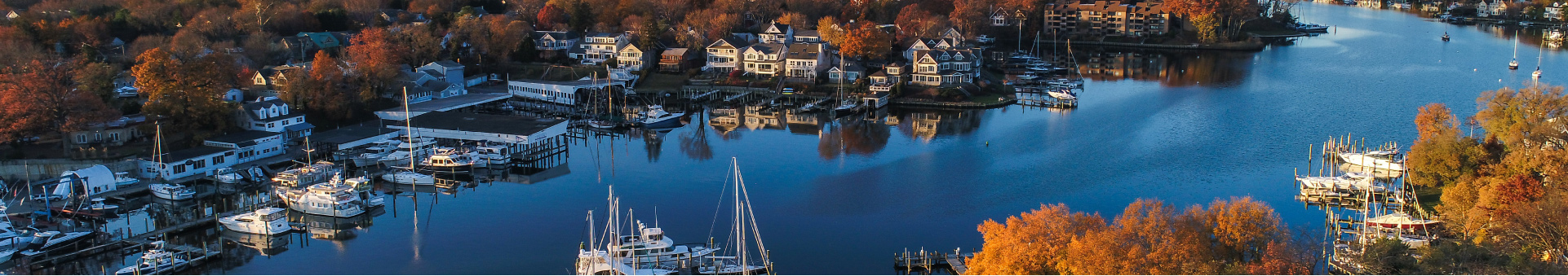 aerial view of Chesapeake Bay in autumn